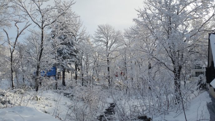 A snowy creek in the Niseko winter wonderland