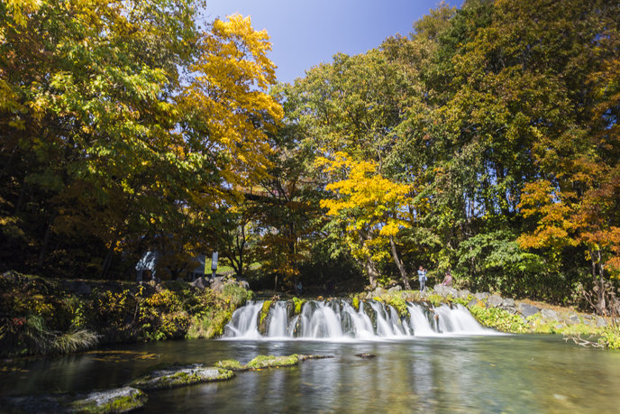 Fukidashi Park Spring And Autumn Leaves 2