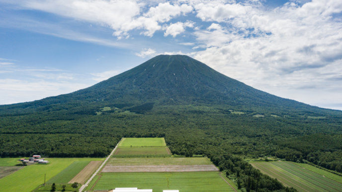 North Face Of Yotei Low Res