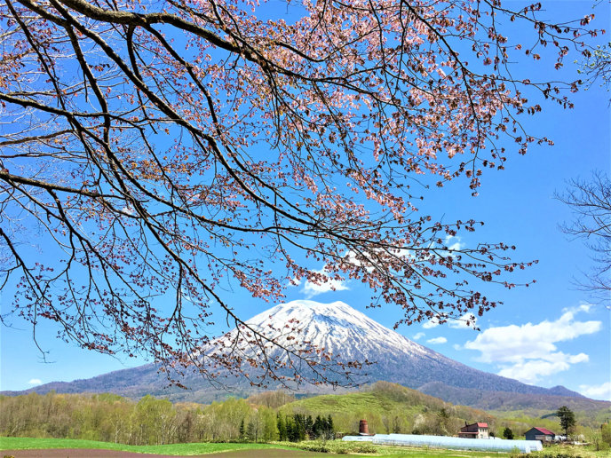 Beautiful Scenery Of Niseko Spring 2017 5
