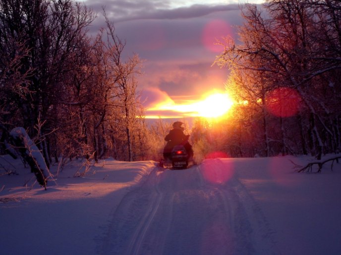 Sunset 1807724 Snowmobile Snowmobiling Stock Image Pixabay