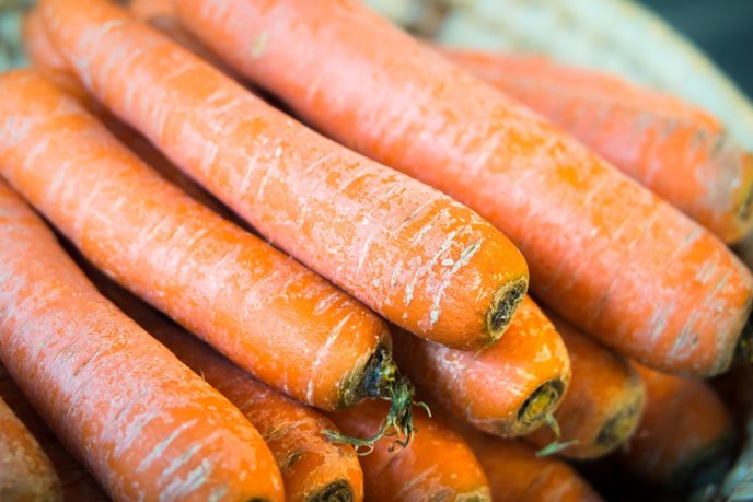 Winter Carrots Niseko Kyogoku Makkari Spring Food Vegetables