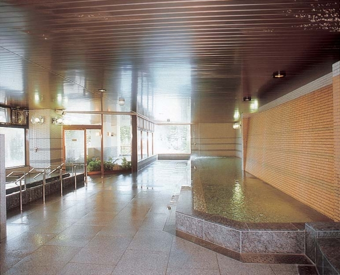 Hirafutei Large Indoor Onsen