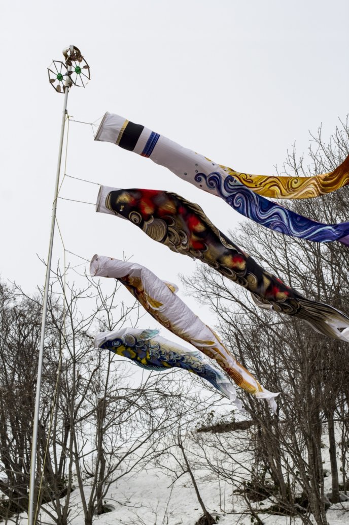 2017 04 11 Ki Niseko Kodomo No Hi Koi Flag Koi Nobori